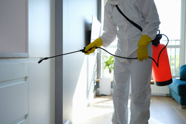Best Mold Damage Repair  in Algoma, WI