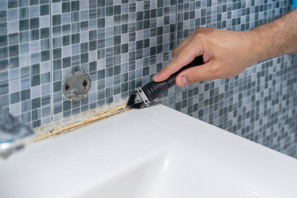 Best Residential Mold Removal  in Algoma, WI